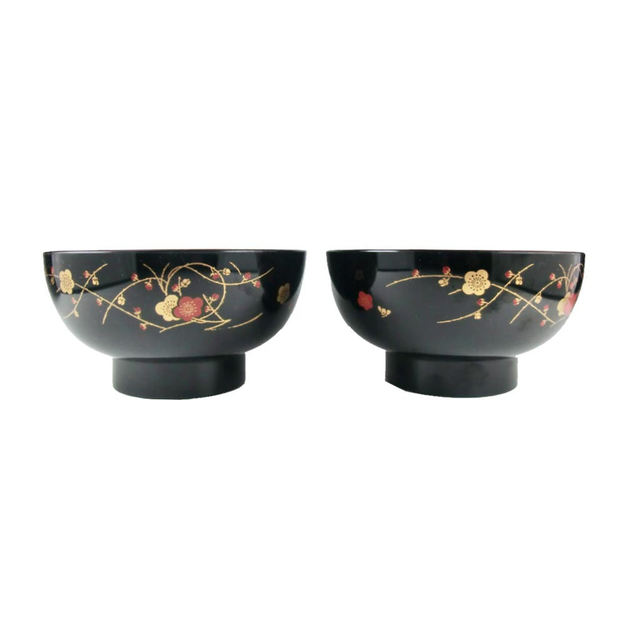 Japanese Soup Bowl 2 set, Rice Bowl, for Miso Soup mx-5